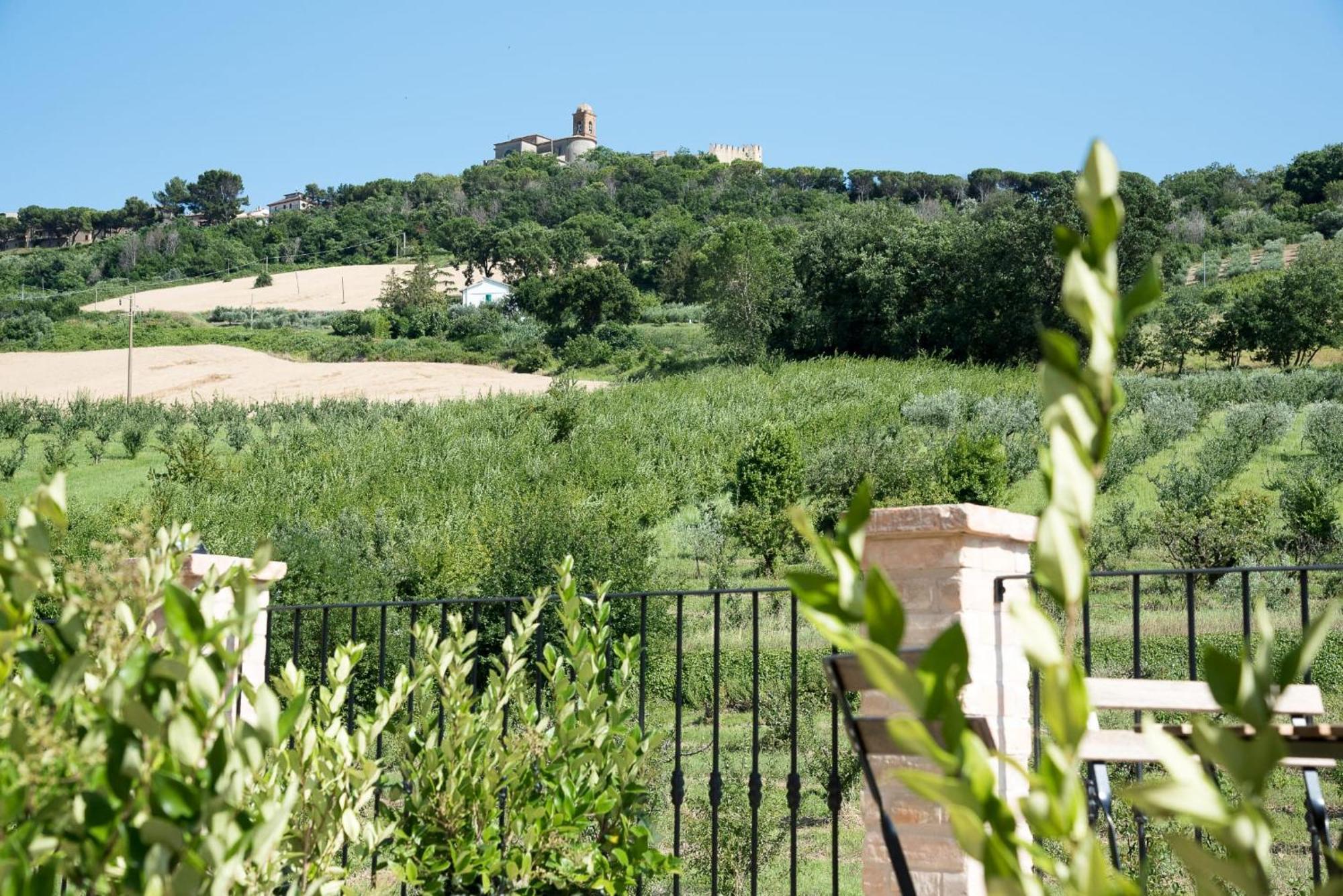 Queen Appartamenti E Camere Campofilone Exterior photo
